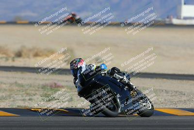 media/Feb-04-2023-SoCal Trackdays (Sat) [[8a776bf2c3]]/Turn 4 (Tree of Life 2pm)/